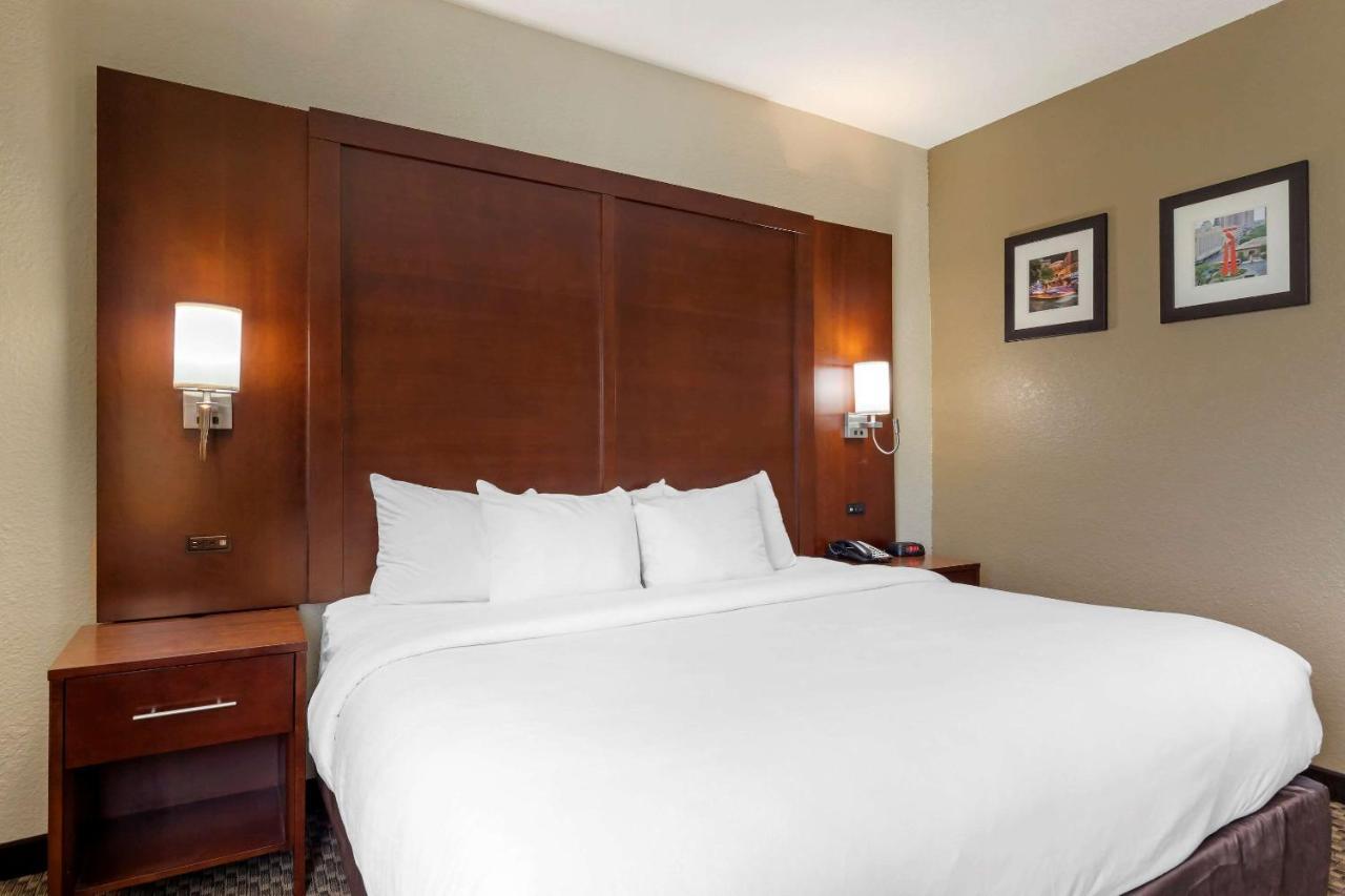 Comfort Inn & Suites Near Six Flags & Medical Center Сан Антонио Екстериор снимка