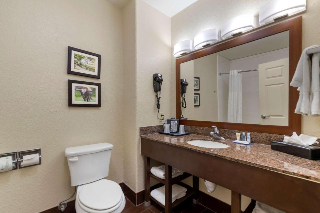 Comfort Inn & Suites Near Six Flags & Medical Center Сан Антонио Екстериор снимка
