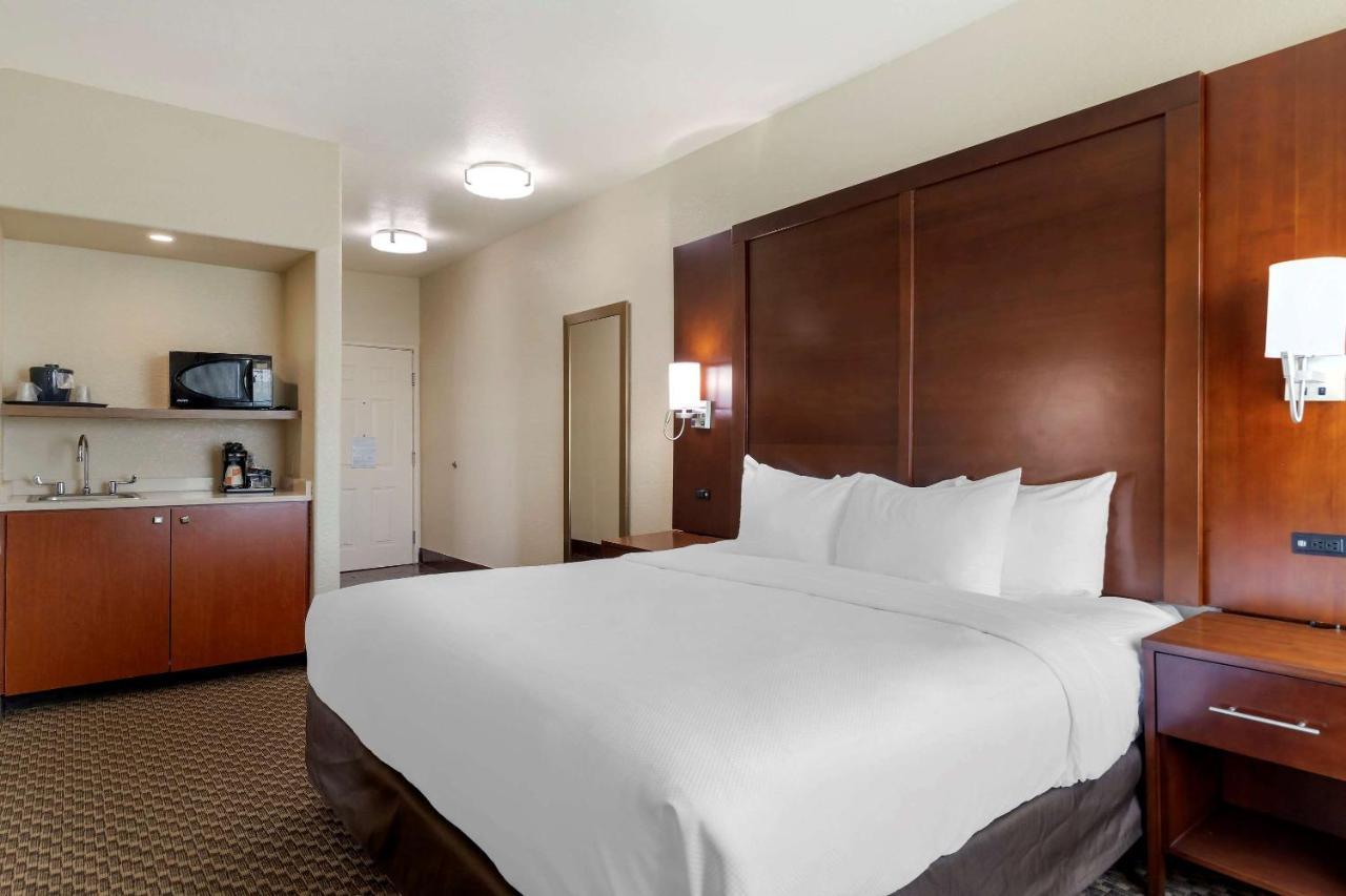 Comfort Inn & Suites Near Six Flags & Medical Center Сан Антонио Екстериор снимка