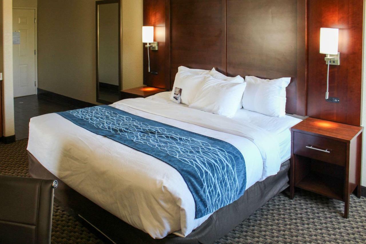 Comfort Inn & Suites Near Six Flags & Medical Center Сан Антонио Екстериор снимка