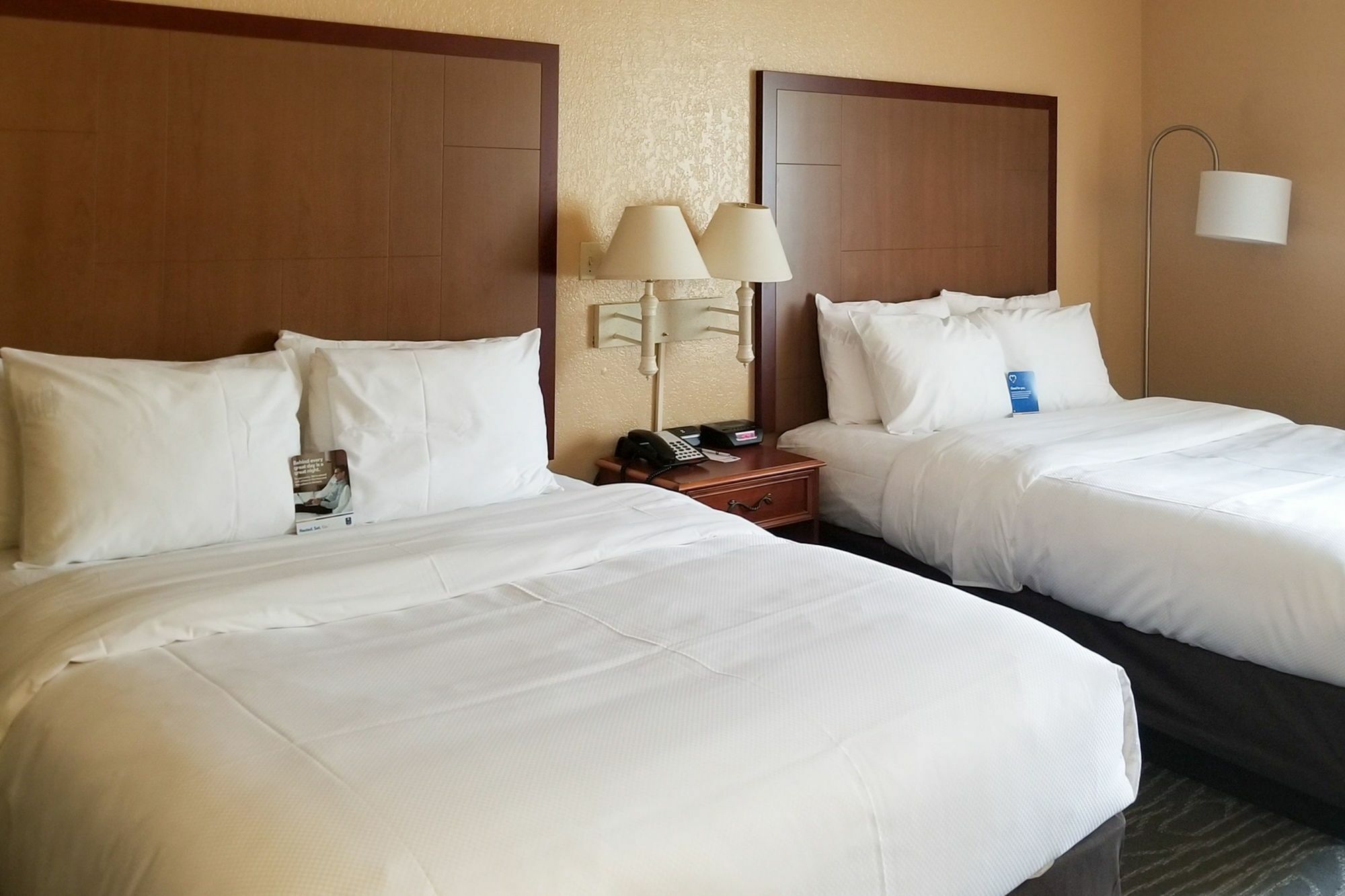 Comfort Inn & Suites Near Six Flags & Medical Center Сан Антонио Екстериор снимка