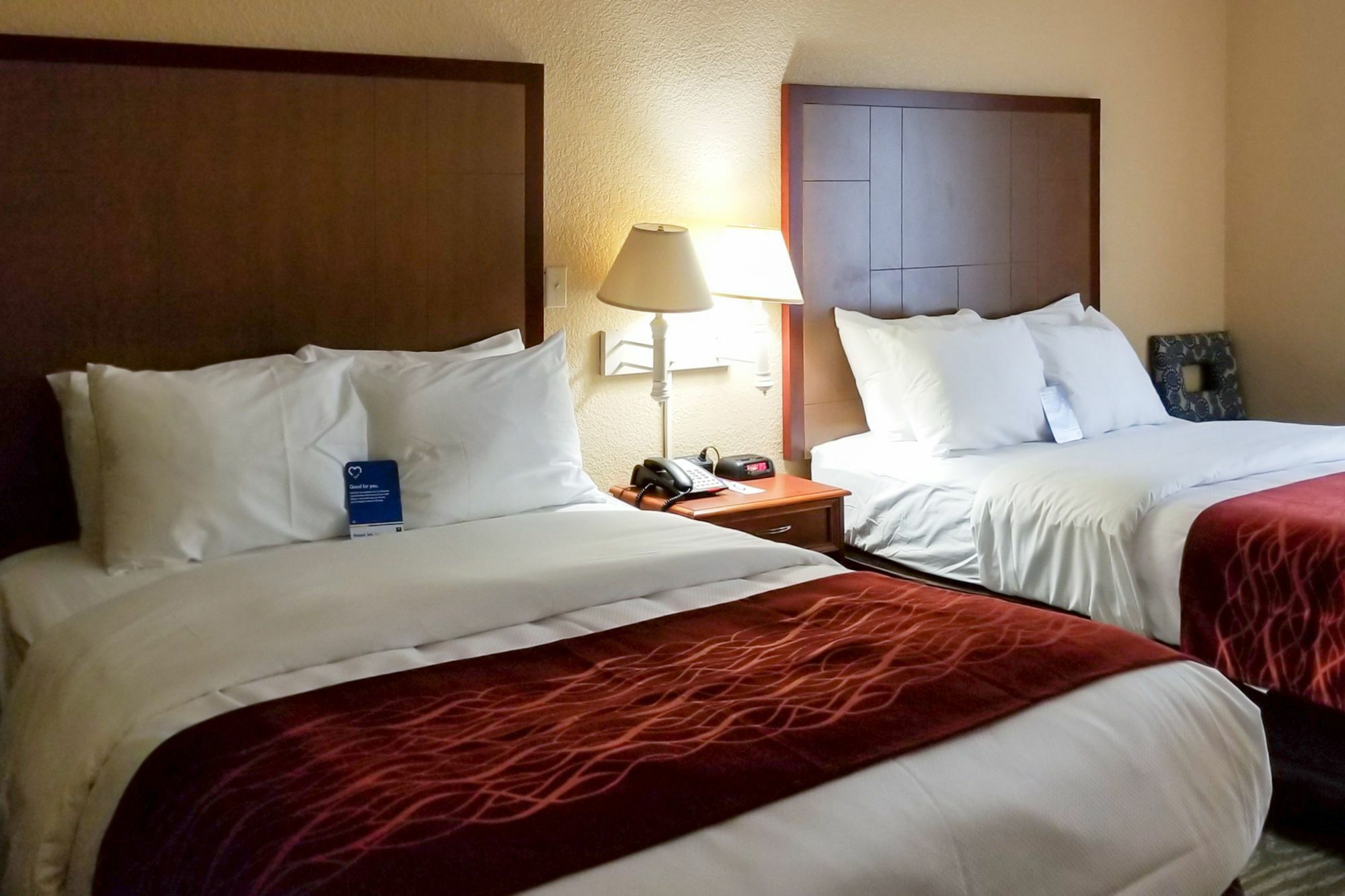 Comfort Inn & Suites Near Six Flags & Medical Center Сан Антонио Екстериор снимка